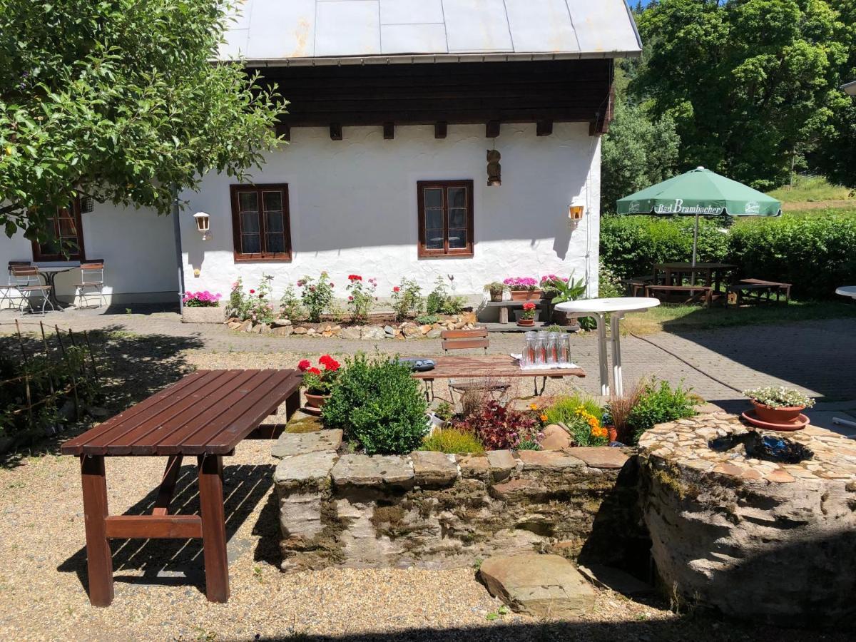 Pension Untere Rauner Muehle Bad Brambach Exterior foto